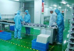 凈化車(chē)間施工步驟以及注意事項(xiàng)有哪些